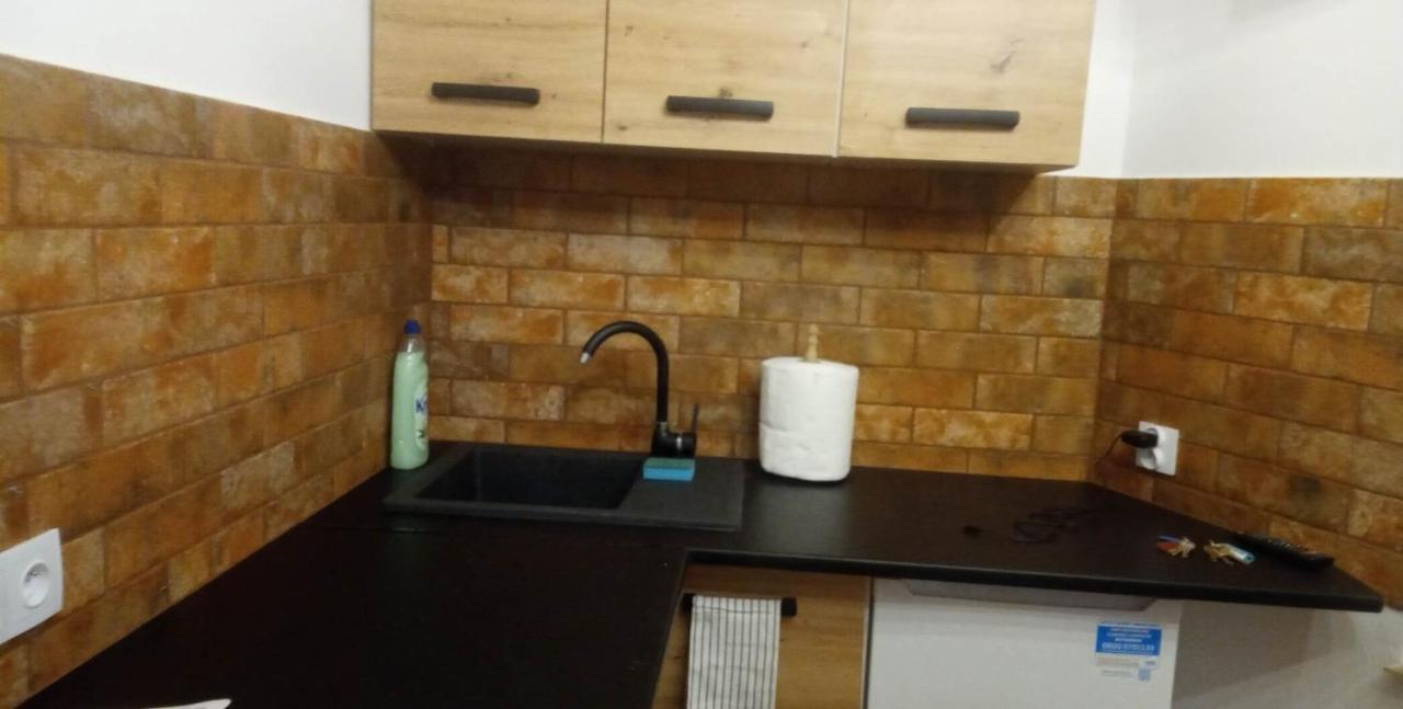 Apartament Katedralna Centrum 琴斯托霍瓦 外观 照片